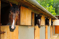 free Great Salkeld stable construction quotes